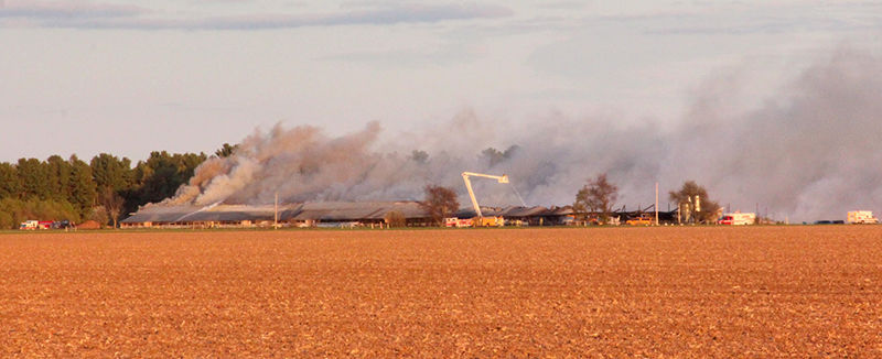 NA_TurkeyBarnFire_7068WEB.jpg